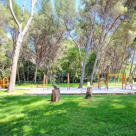 T2 Avec Piscine, Parking Prive A 200m Des Plages Et Commerces - Fr-1-316-237